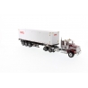 Western Star® 4900 SF Day Cab Tandem Tractor with 40' Dry Goods Sea Container