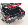 Ford Mustang A/FX 1965 Tasca Ford